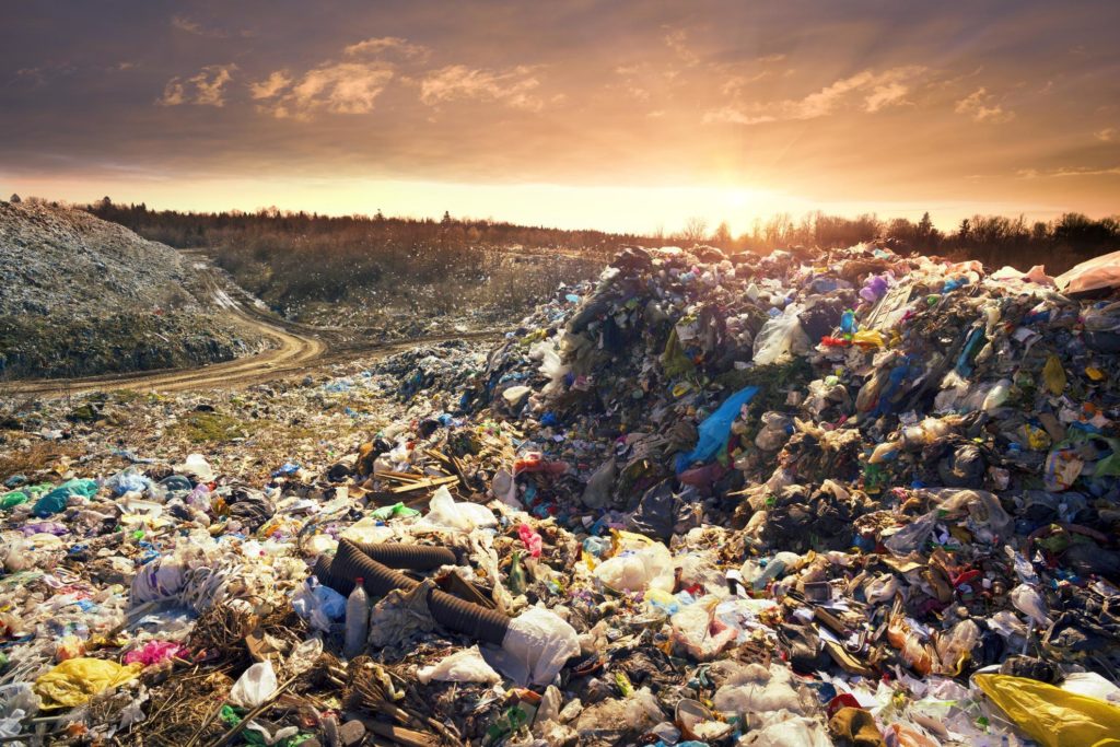 Recyclage et innovation : cas d'entreprises françaises pionnières en IA