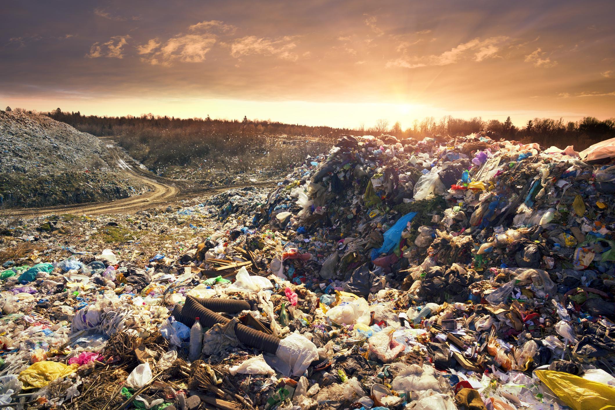 Recyclage et innovation : cas d&rsquo;entreprises françaises pionnières en IA