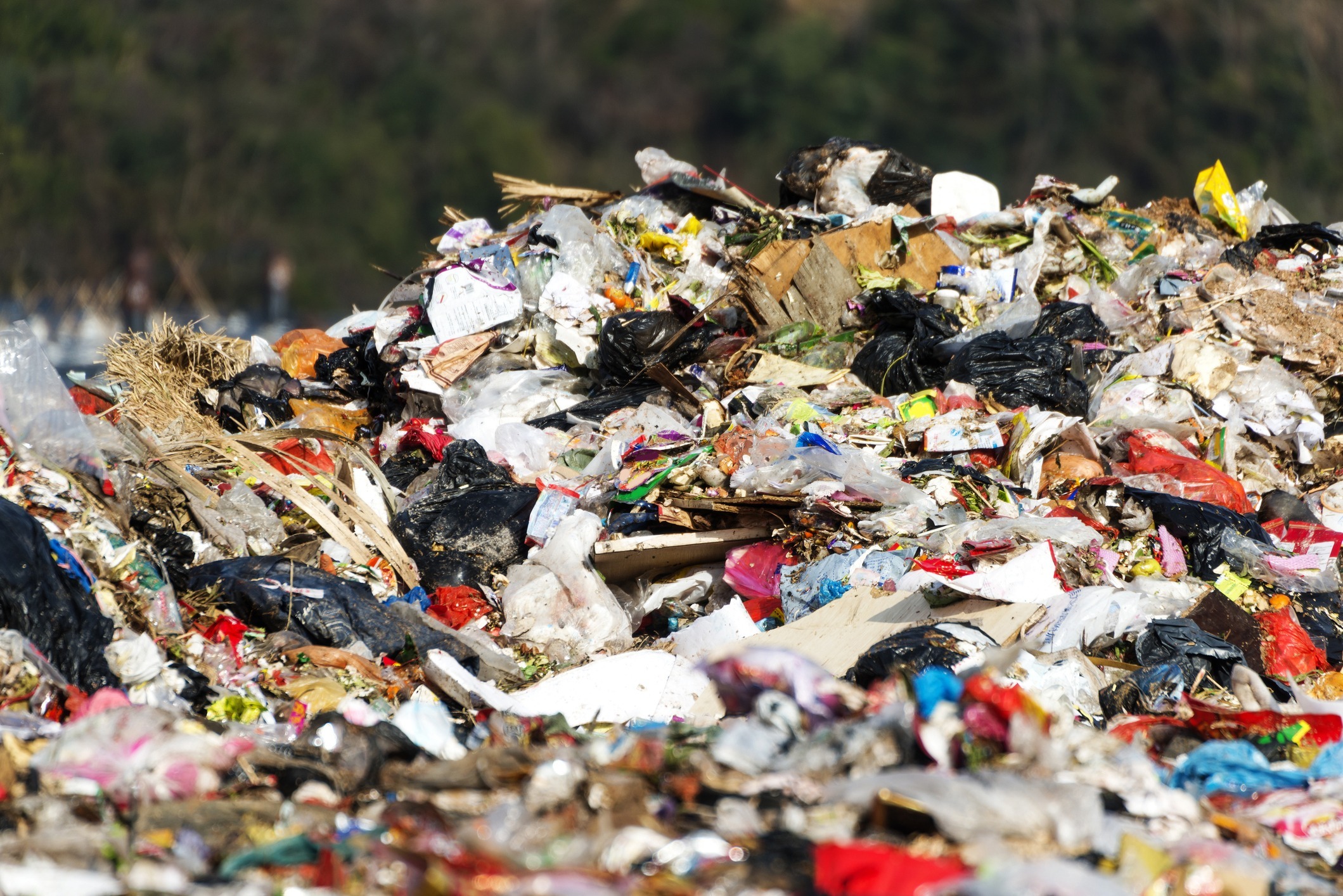 Recyclage des déchets ménagers : quelles sont les véritables causes des erreurs de tri ?