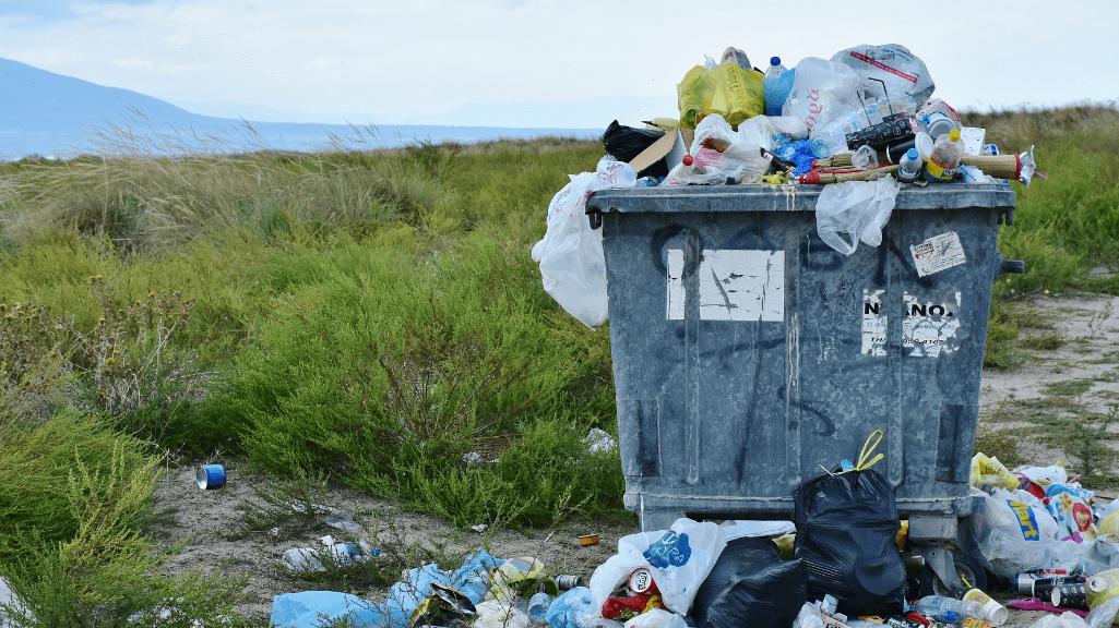 NextWaste : quelles conséquences des erreurs de tri ?