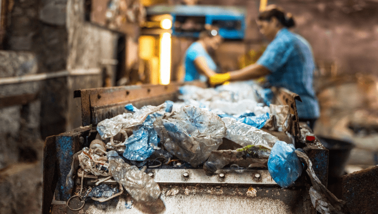 déchets saisonniers NextWaste